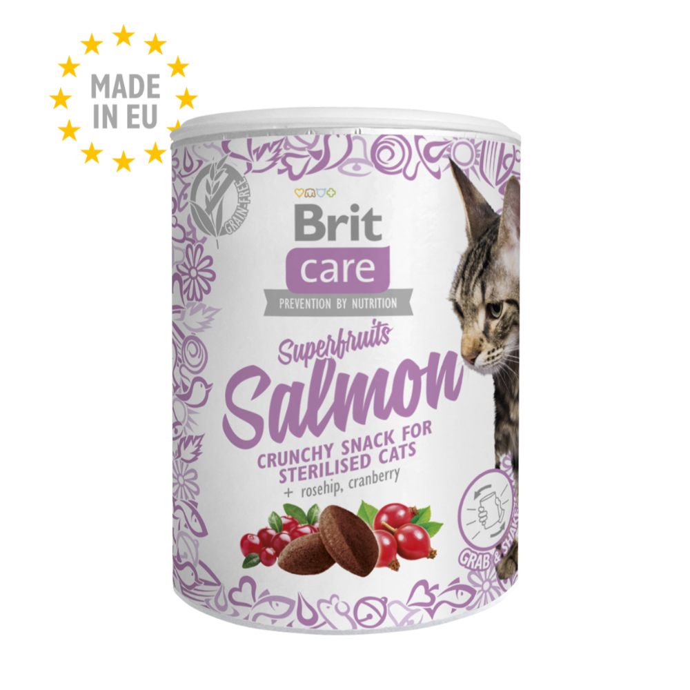 Brit Care Cat Super Fruits Salmon 100 GR