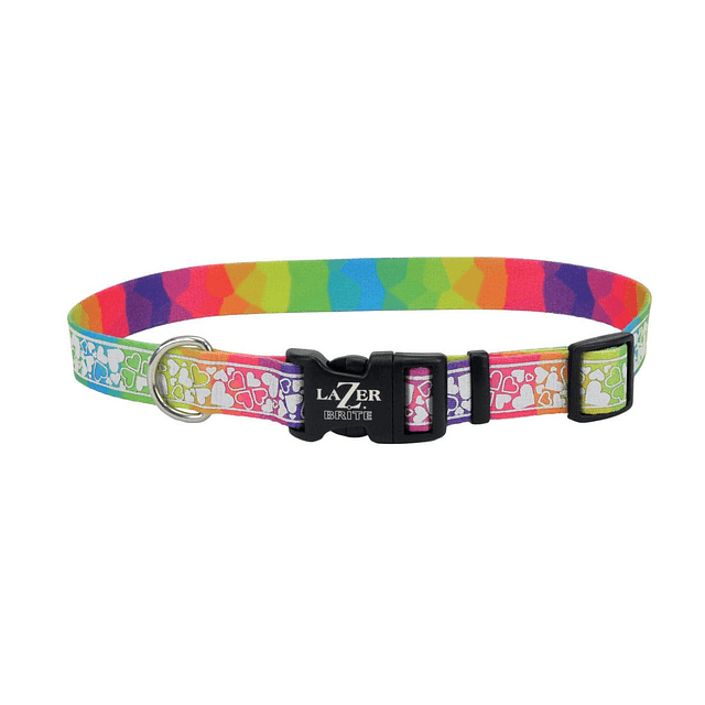 COASTAL LAZER BRITE COLLAR RAINBOW HEARTS "L"