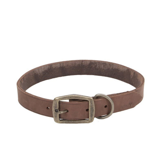 COASTAL CIRCLE-T COLLAR CUERO RUSTICO CHOCOLATE 35 CM